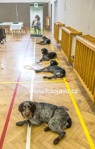 DSC 4565 kopie